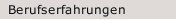 Berufserfahrungen